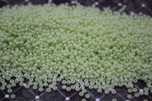 Бисер Чехия круглый 03253 10/0 50г